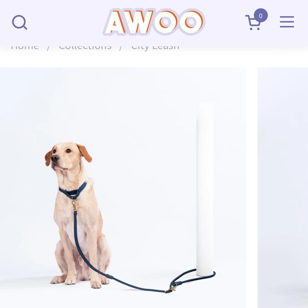 Awoo city Leash Black Dog Leash